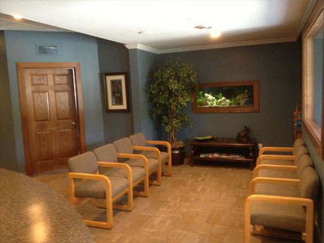 Schulz ortho waiting room